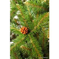 Ель Holiday Trees Таежная 1.8 м