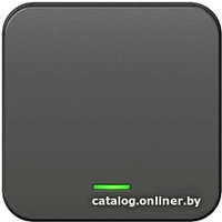 Выключатель Schneider Electric Blanca BLNVA101116