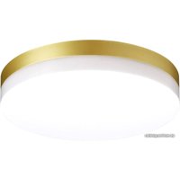 Уличный настенный светильник Novotech Opal 358888