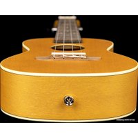 Укулеле Ortega Earth RUGOLD