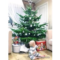 Ель HD Nordic Trees Nordmann Датская Премиум (1.5-1.7 м, срезанная)