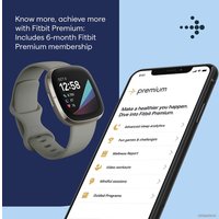 Умные часы Fitbit Sense (серый/серебристый)