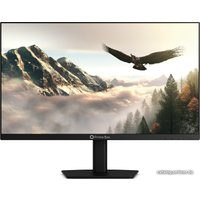 Монитор Prime Box Eagle M24 HVIB