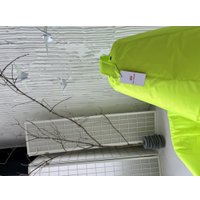 Кресло-мешок Mio Tesoro Груша XXL GF-130x85-N (неон)