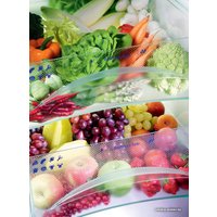 Холодильник Liebherr CBN 3956 Premium