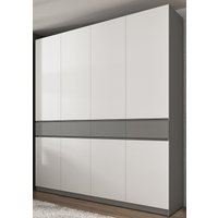 Шкаф распашной ЭлиГард Locarno 4 (дымчатый алмаз/белый)