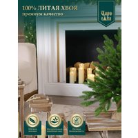 Ель Царь Елка Астерия премиум 60см 3D АСТР/ПР-60