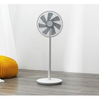 Вентилятор SmartMi Standing Fan 2S ZLBPLDS03ZM (международная версия)