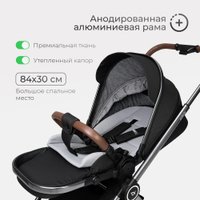 Универсальная коляска Tomix Adele 2 в 1 S760/2 (черный)