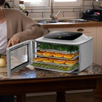 Сушилка для овощей и фруктов Kitfort KT-4906