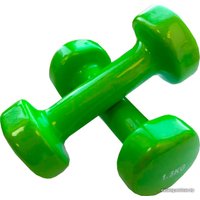 Набор гантелей Indigo 92005 IR 2x1.5 кг (салатовый)