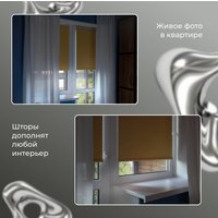 Рулонные шторы Franc Gardiner Blackout Silver 55x160 7799149 (медовый)