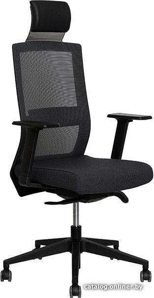 Офисное кресло Duorest SQ-200C 7SMB1/7SBK1 (черный)