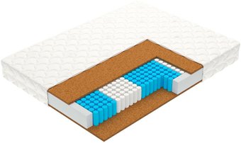 Vegas Focus (5-Zone) 200x180