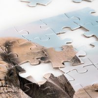 Пазл Dream Makers Африка RI1001C