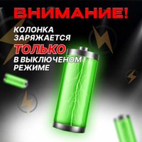 Патибокс Eltronic 30-38 Crazy Box 800 в Борисове