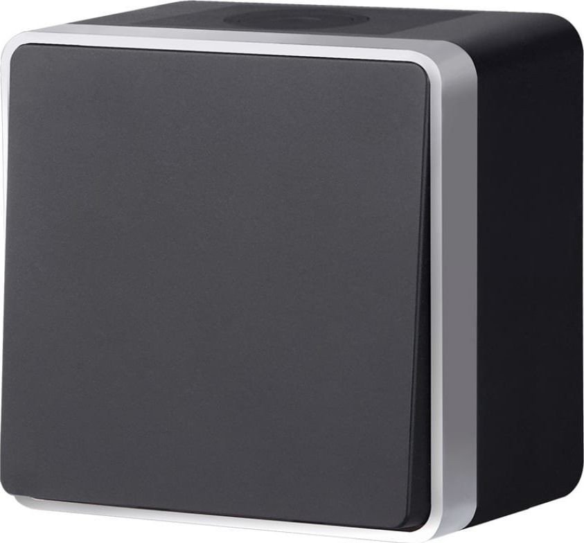 

Выключатель Werkel Gallant W5010234 (черный/серебристый)