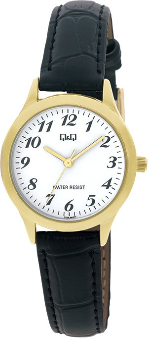 

Наручные часы Q&Q Standard C01AJ008
