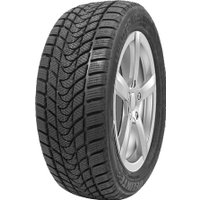 Зимние шины Delinte Winter WD1 165/70R14 81T