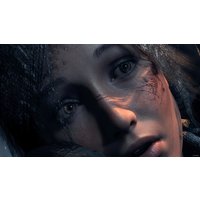  Rise of the Tomb Raider для PlayStation 4