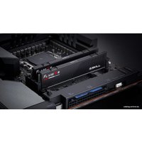 Оперативная память G.Skill Flare X5 2x24ГБ DDR5 5200 МГц F5-5200J4040A24GX2-FX5