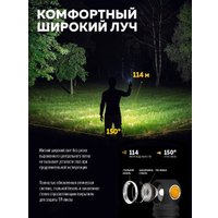 Фонарь FORSAGE F-BF101(54145)