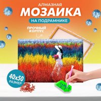 Solmax&Creators Девушка на лугу SM98457