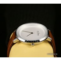 Наручные часы Skagen SKW2214