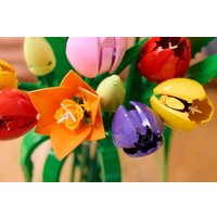 Конструктор LEGO The Botanical Collection 11501 Букет Тюльпанов