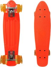 Penny Board 21