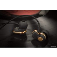 Наушники SoundMagic PL30+C (черный/золотистый)