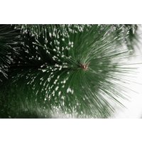 Сосна Winter Fun Drop SZ611-120 1.2 м