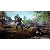 Компьютерная игра PC Ведьмак 3: Дикая Охота