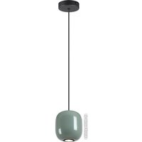 Подвесная люстра Odeon Light Ovali 5053/1C
