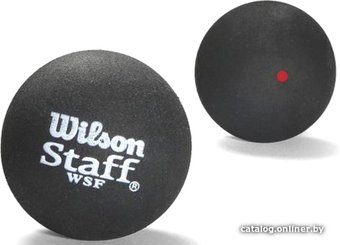 Набор мячей для сквоша Wilson Staff Red Dot WRT6177