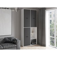 Шкаф распашной Интерлиния Skill-20 (3) (белый/антрацит)