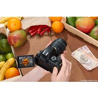 Зеркальный фотоаппарат Nikon D5100 Kit 18-55mm VR