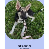 Поводок Seadog Перестежка (3м, flowers)