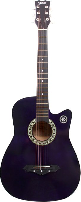 

Акустическая гитара Jervis JG-38C (фиолетовый)