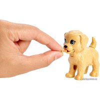 Кукла Barbie Doggy Daycare Doll & Pets FXH08