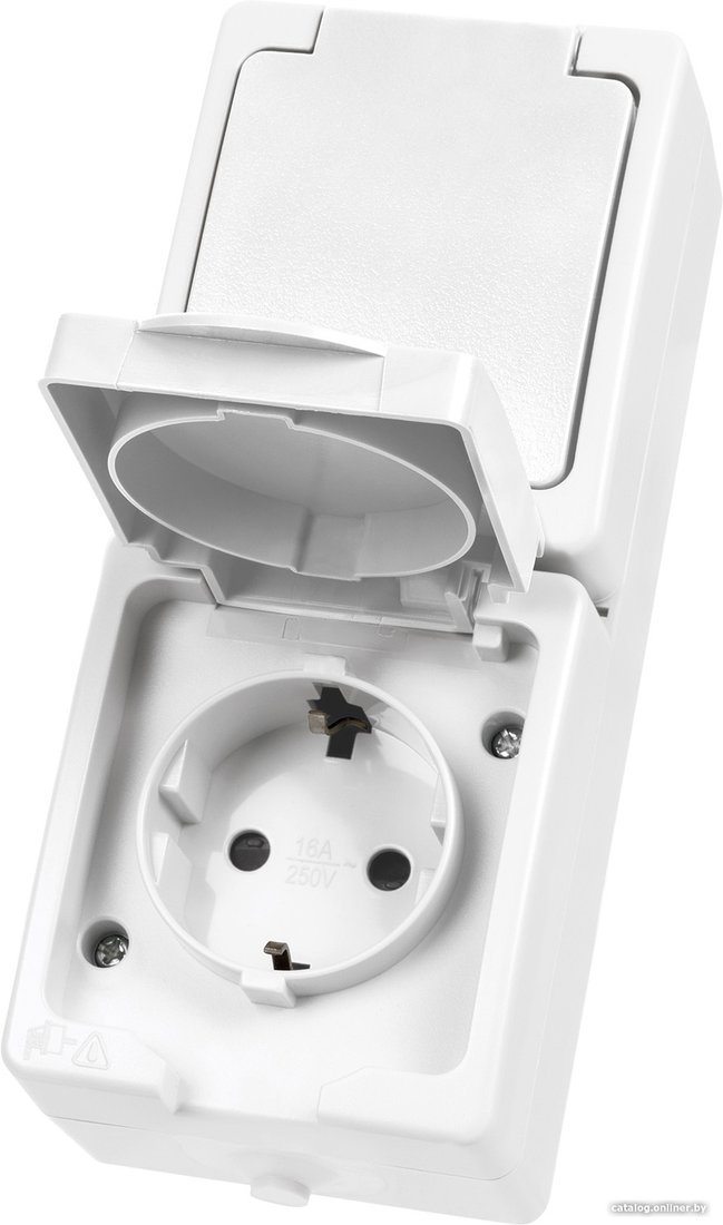 Розетка TDM Electric Вуокса SQ1803-1009