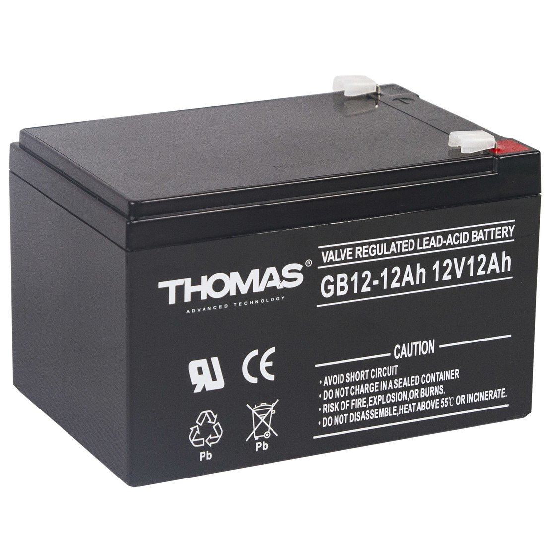 

Аккумулятор для ИБП Thomas GB 12-12 Ah 12V12Ah
