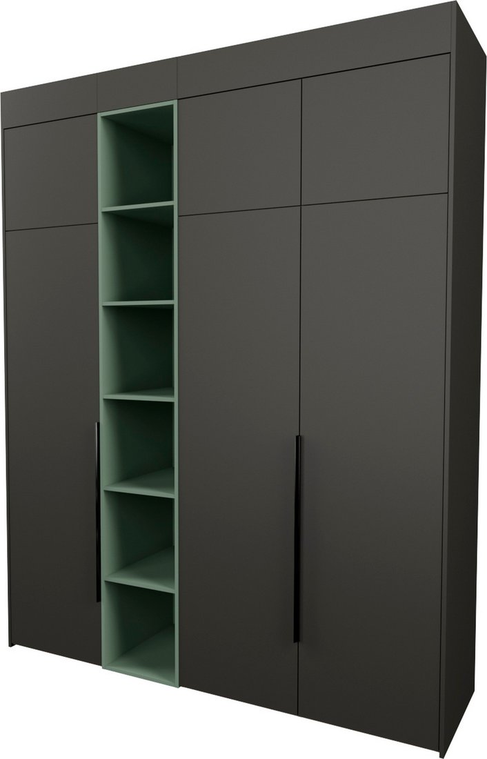 

Шкаф распашной Рэйгрупп Рэй S274-В8-2-WKZ В8-2 (дуб веллингтон/кобальт/зеленый самшит)