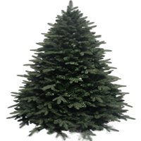 Ель Homa Victoria 20-180