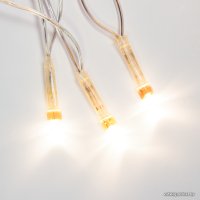 Светодиодная гирлянда Neon-Night 306-063 (теплый белый)