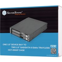 Бокс для накопителей 2.5" и 3.5" SilverStone FS202