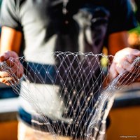 Сетка безопасности  Ferplast Cat Net XS 85182300