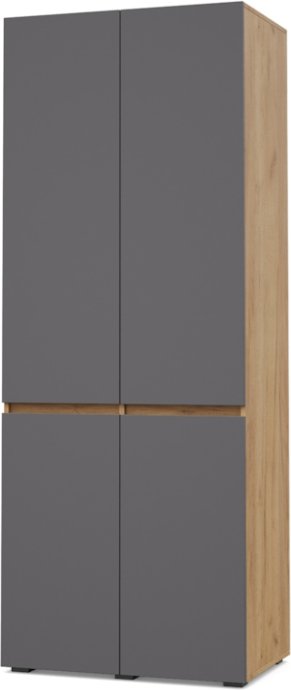 

Шкаф распашной Modern Тифани Т20 (золотистый дуб/графит)