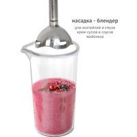 Погружной блендер Pioneer HB255S в Витебске