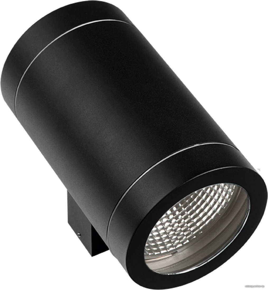 Уличный настенный светильник Lightstar Paro 351617